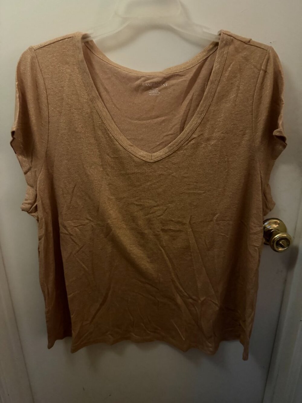 Lane Bryant Butterscotch V-Neck Blouse W 22-24